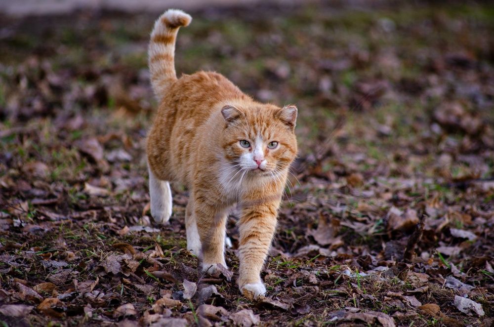 Photograph by Татьяна Жиркина