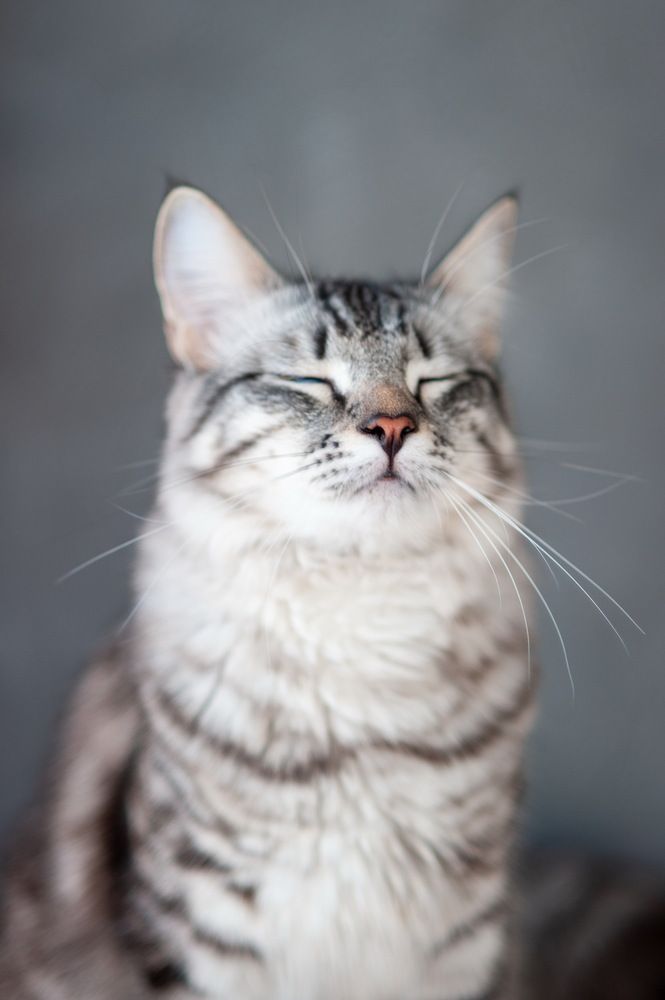 Photograph by Екатерина Пенежина