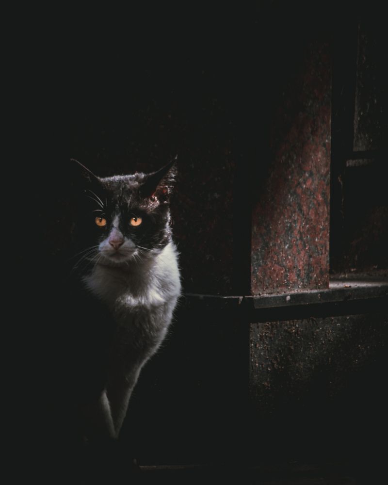 Photograph by Silvina Sánchez