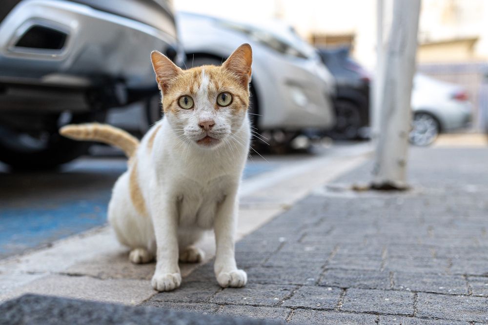 Photograph by Георгий