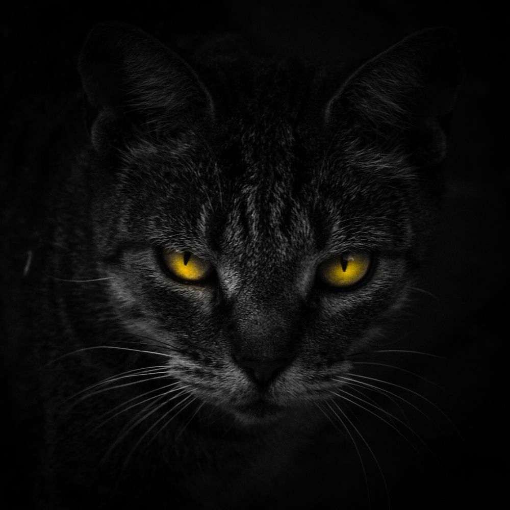 Photograph by Silvina Sánchez