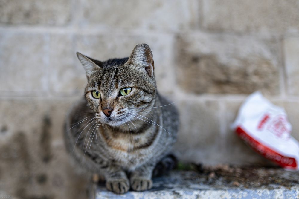 Photograph by Георгий