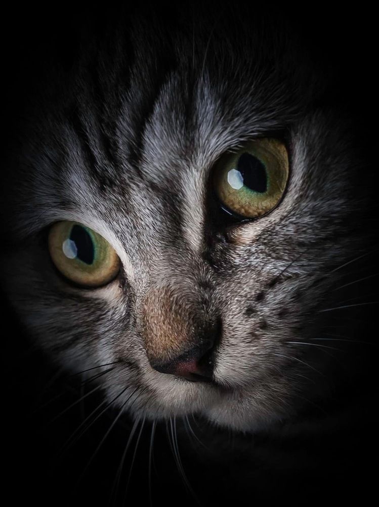 Photograph by Bányai Hajni