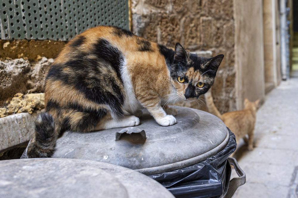 Photograph by Георгий