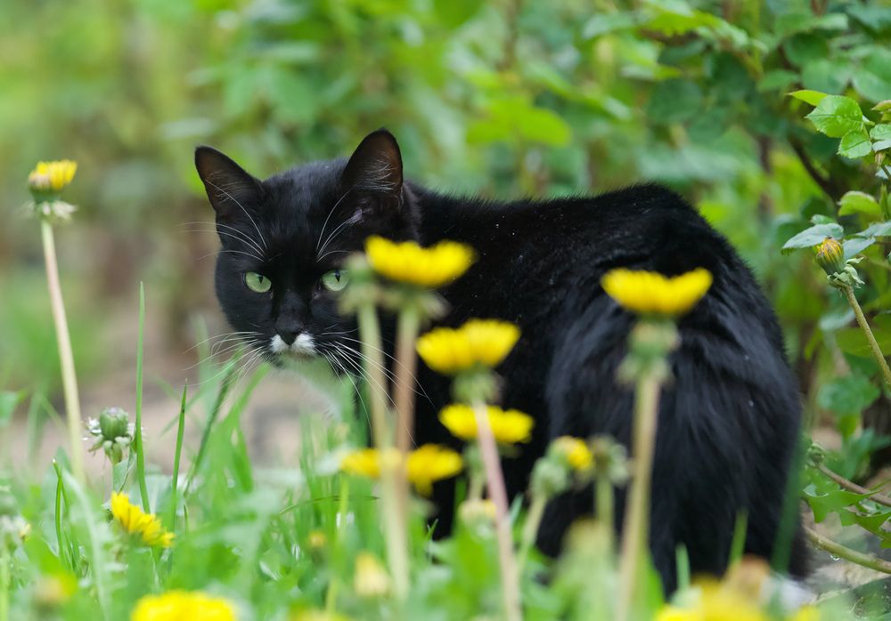 Фотография автора Viktoriya Kim