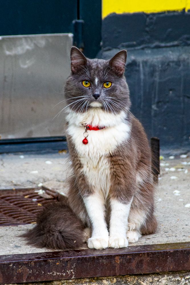 Photograph by Кирилл Шарапов