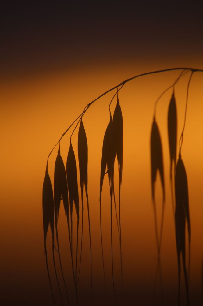 Photograph by Panagiotis Batatolis
