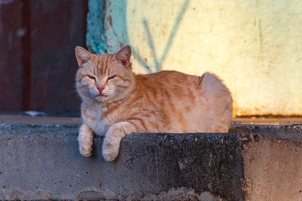 Photograph by Кирилл Шарапов