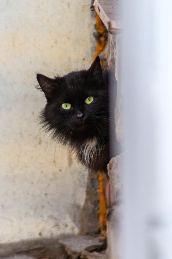 Photograph by Кирилл Шарапов