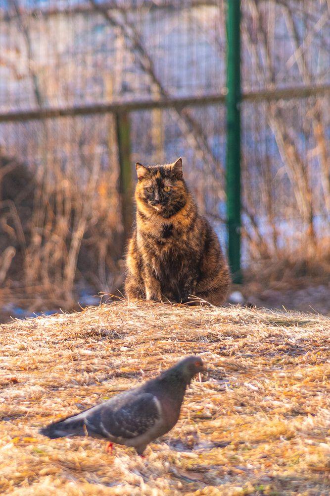 Photograph by Кирилл Шарапов