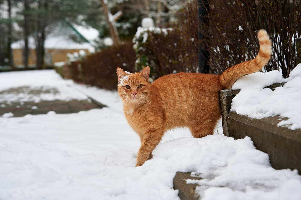 Photograph by Андрей Фоминых