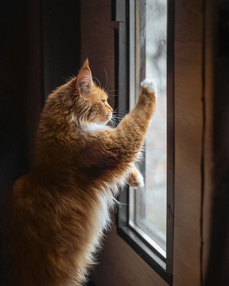 Photograph by Алена Теслюк