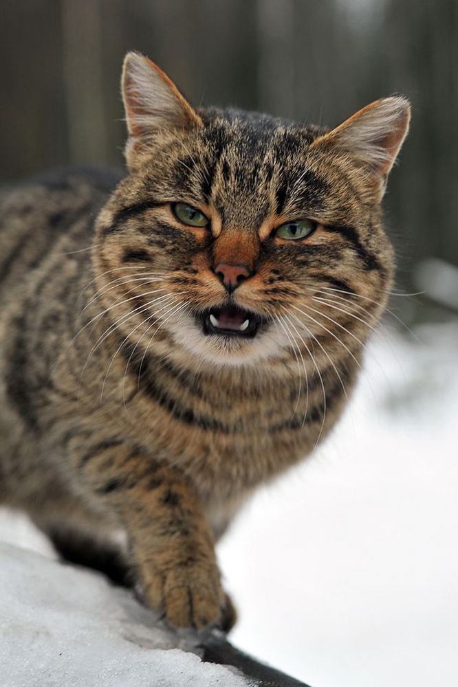 Photograph by Cергей Абакумов