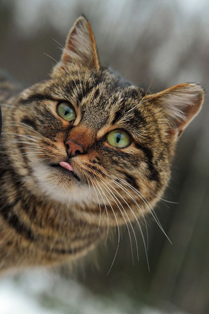 Photograph by Cергей Абакумов