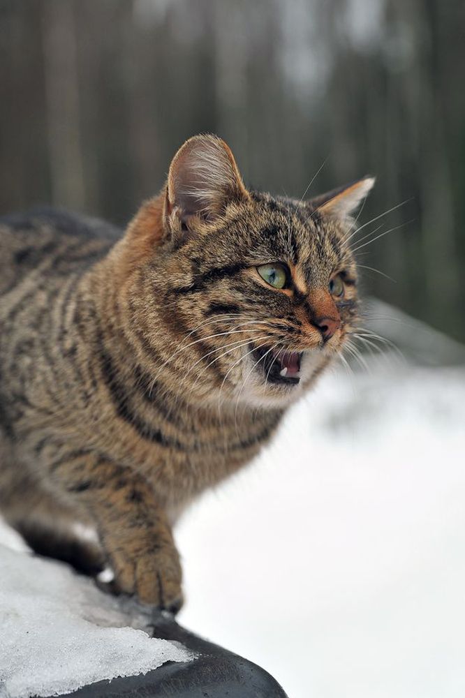 Photograph by Cергей Абакумов