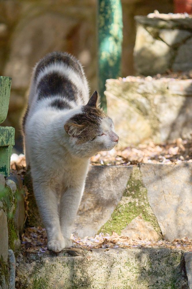 Photograph by Valery Zmachynski