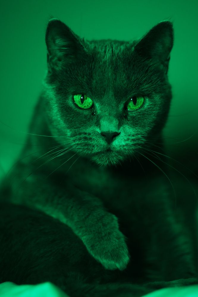 Photograph by Наталия Дмитриева