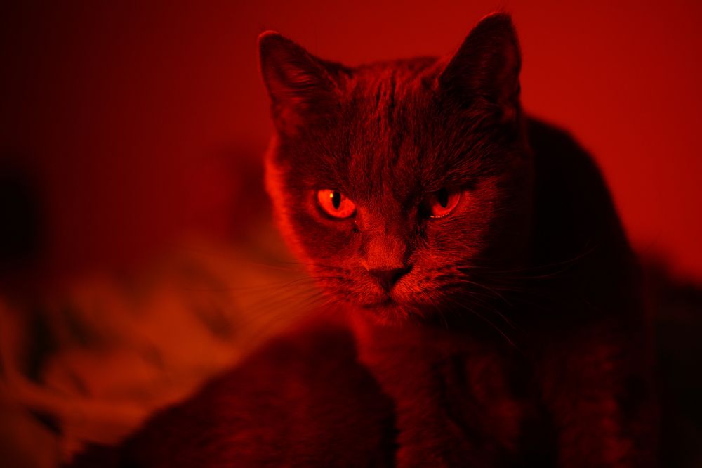 Photograph by Наталия Дмитриева