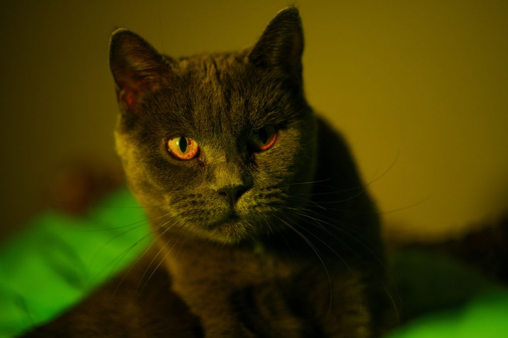 Photograph by Наталия Дмитриева