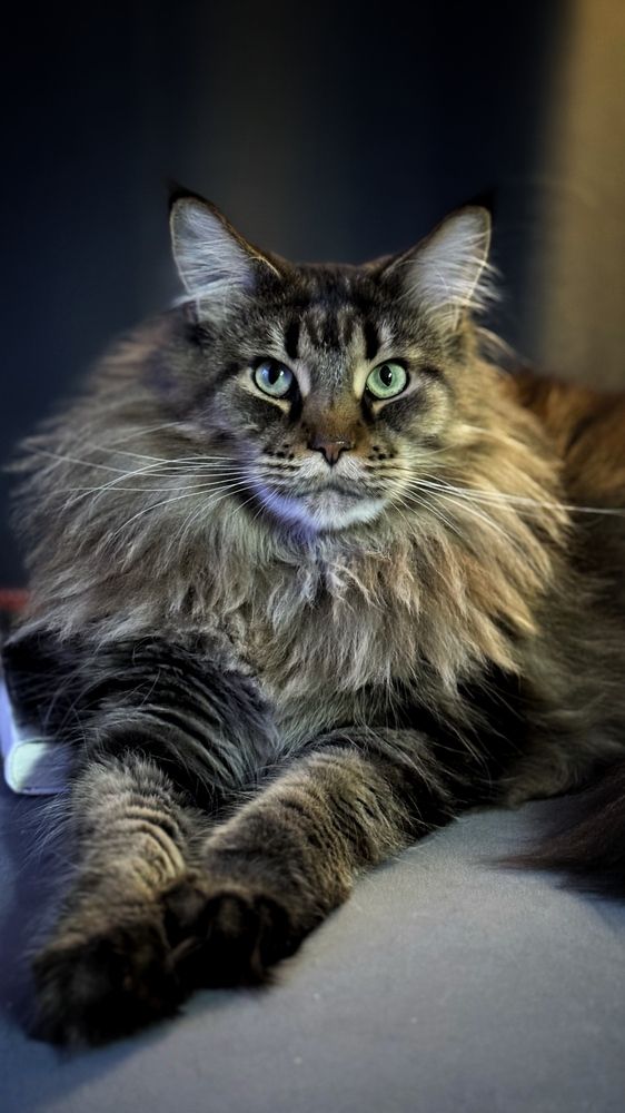 Photograph by Татьяна Собина