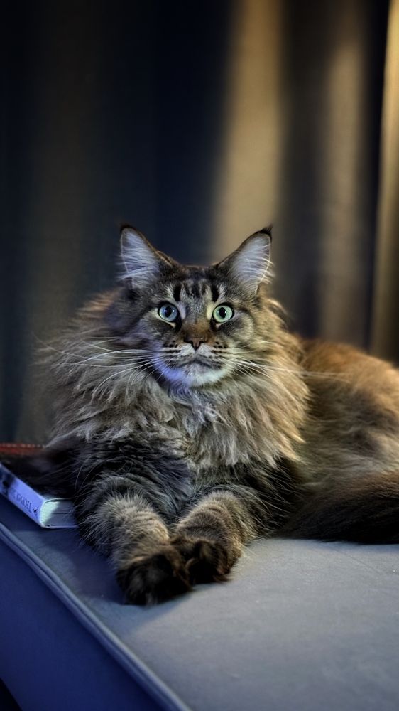 Photograph by Татьяна Собина