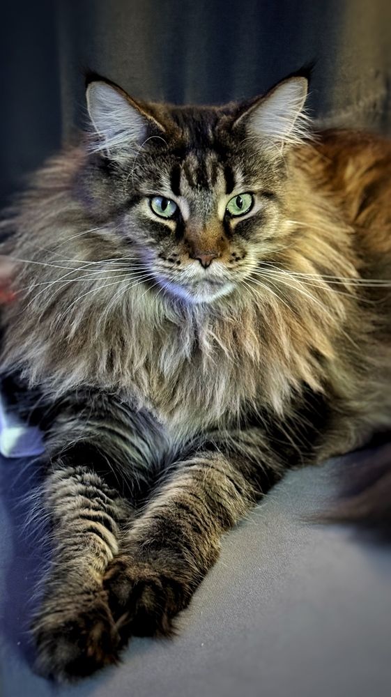 Photograph by Татьяна Собина