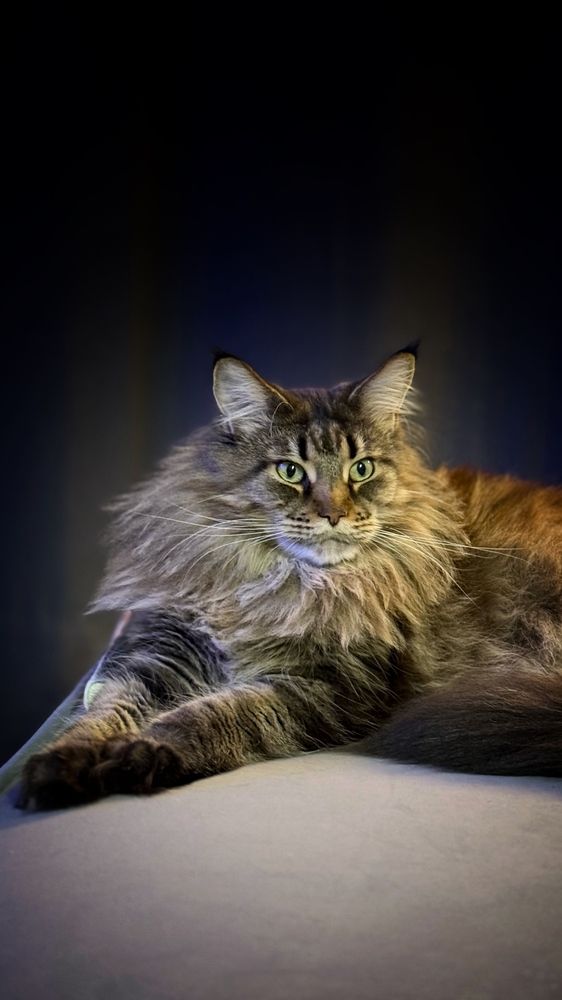 Photograph by Татьяна Собина