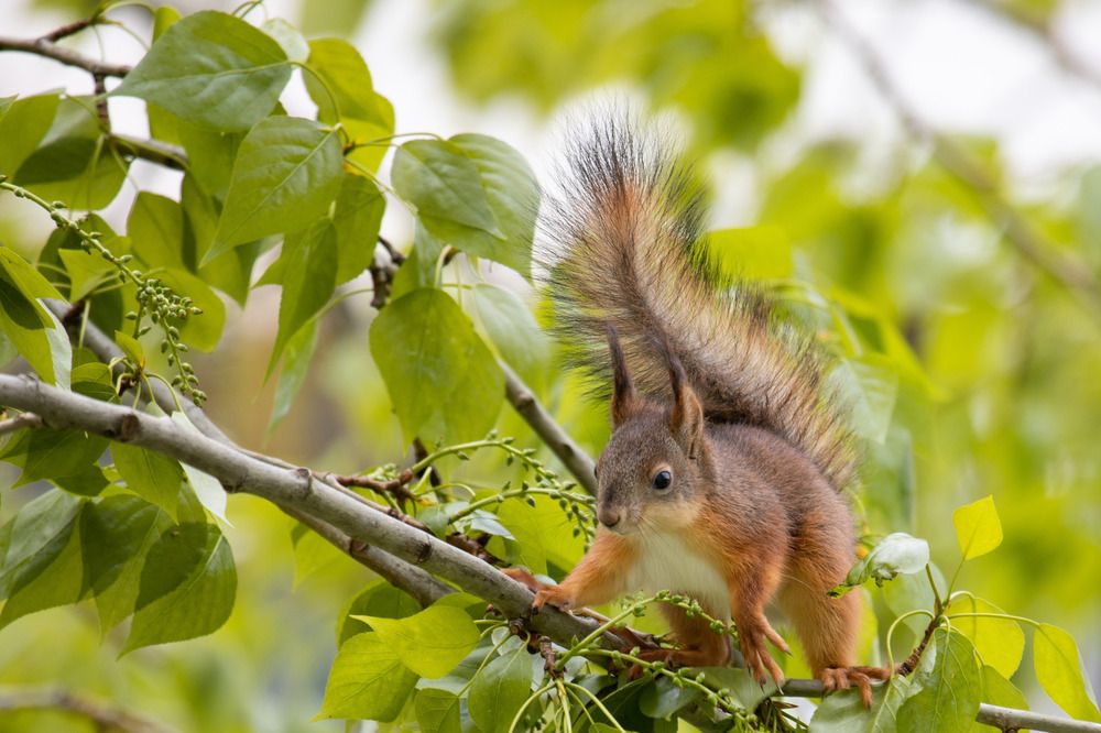 Photograph by Кульчицкий Андрей