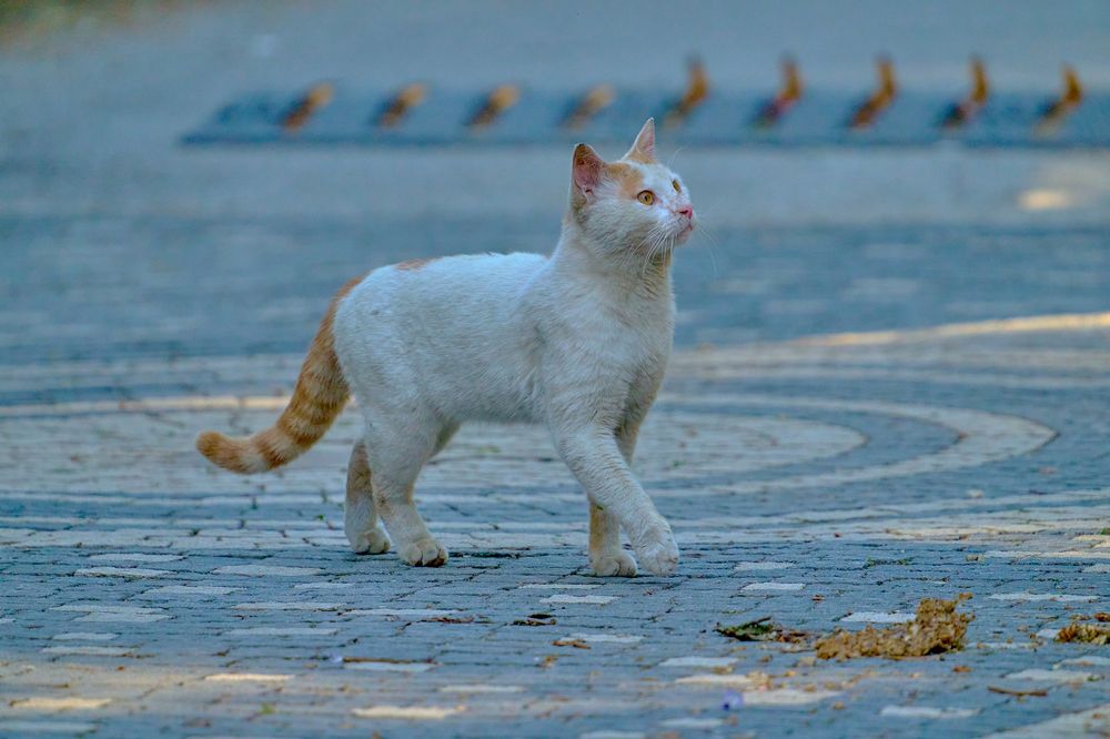 Photograph by Valery Zmachynski