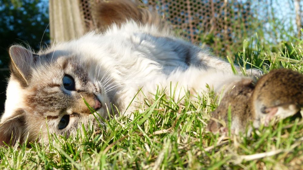 Photograph by Егор Чинарев