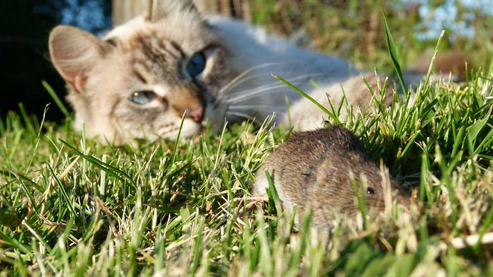 Photograph by Егор Чинарев