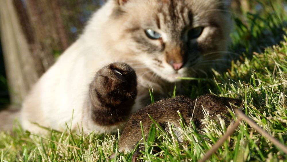 Photograph by Егор Чинарев