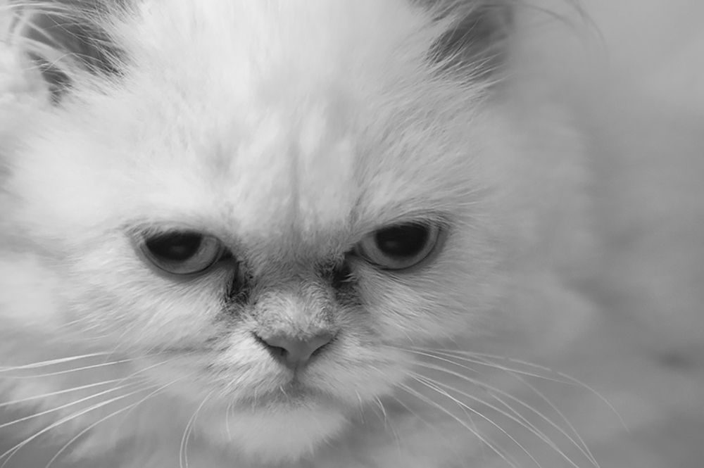 Photograph by Maryam Jassim