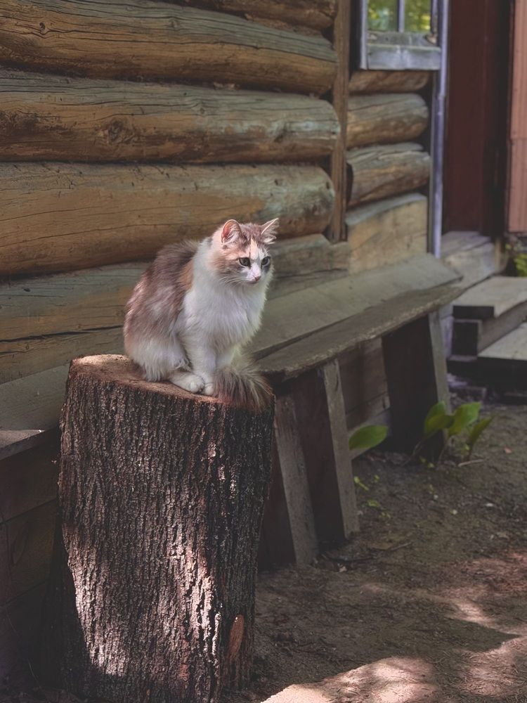 Photograph by Наталья Рожкова