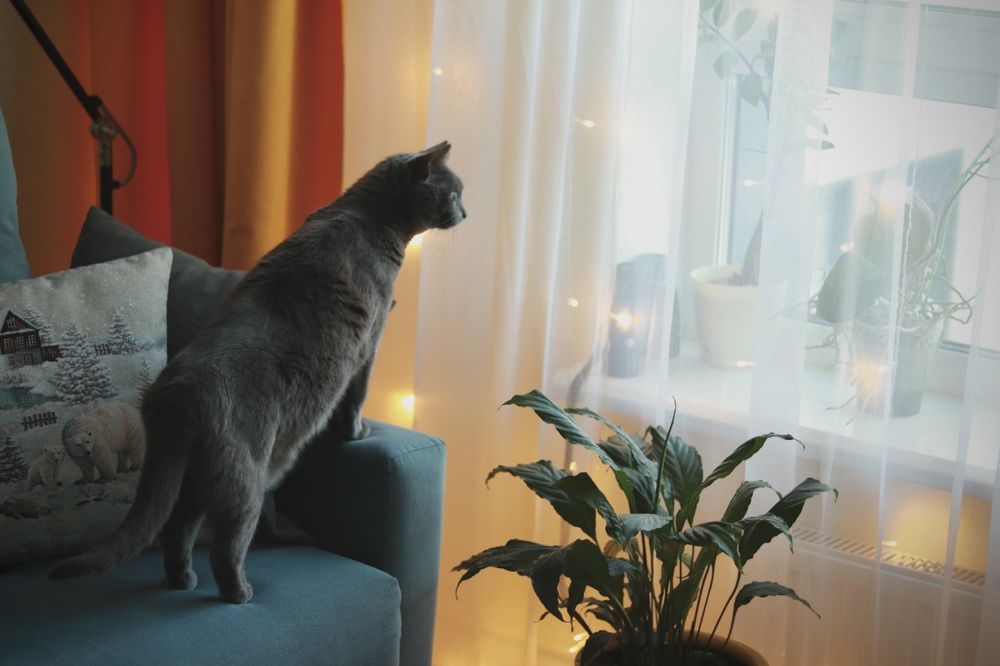 Photograph by Наталья Рожкова
