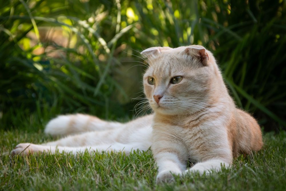 Photograph by Степан Ковыльчик