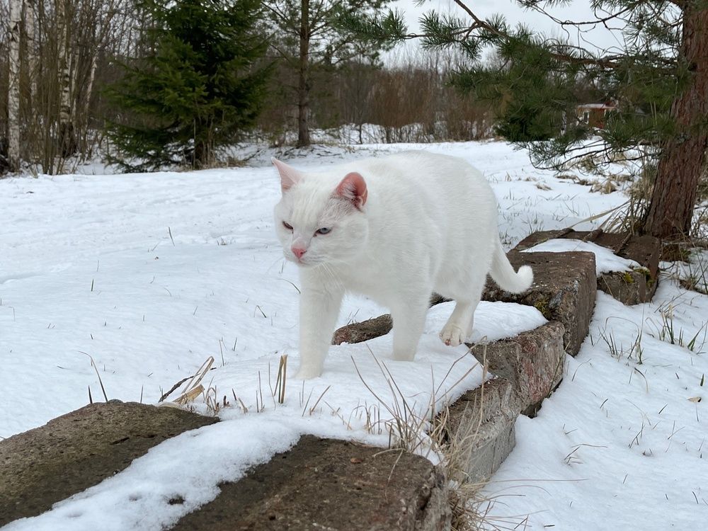 Photograph by Болдырева Ольга