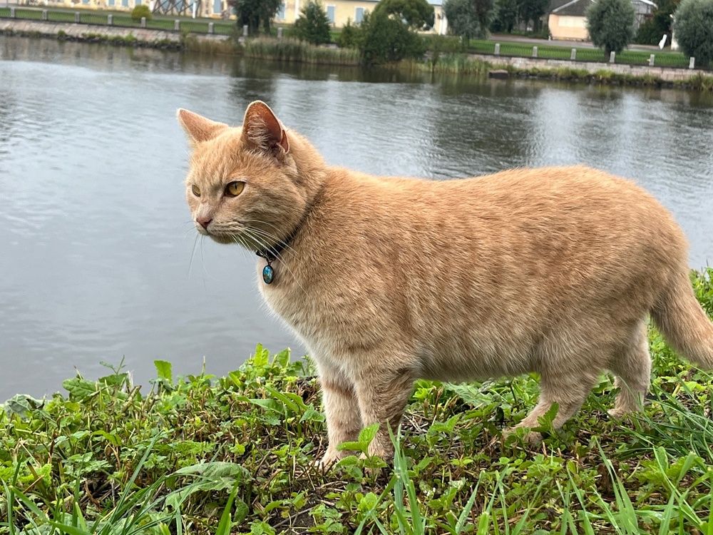 Photograph by Болдырева Ольга