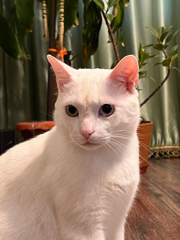 Photograph by Болдырева Ольга