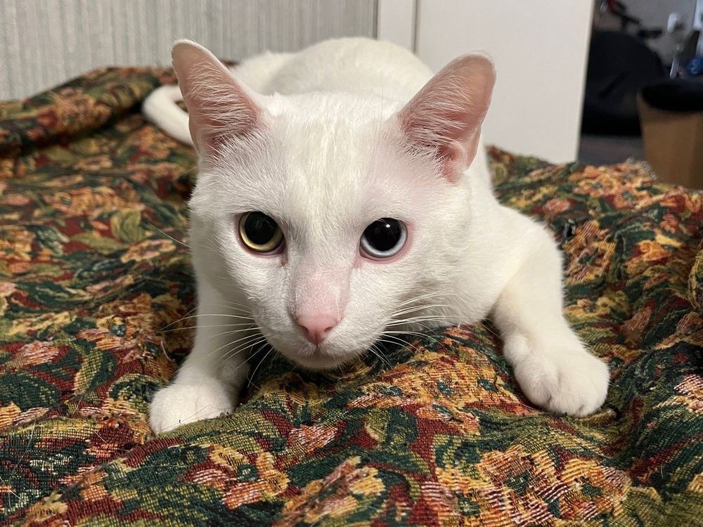 Photograph by Болдырева Ольга