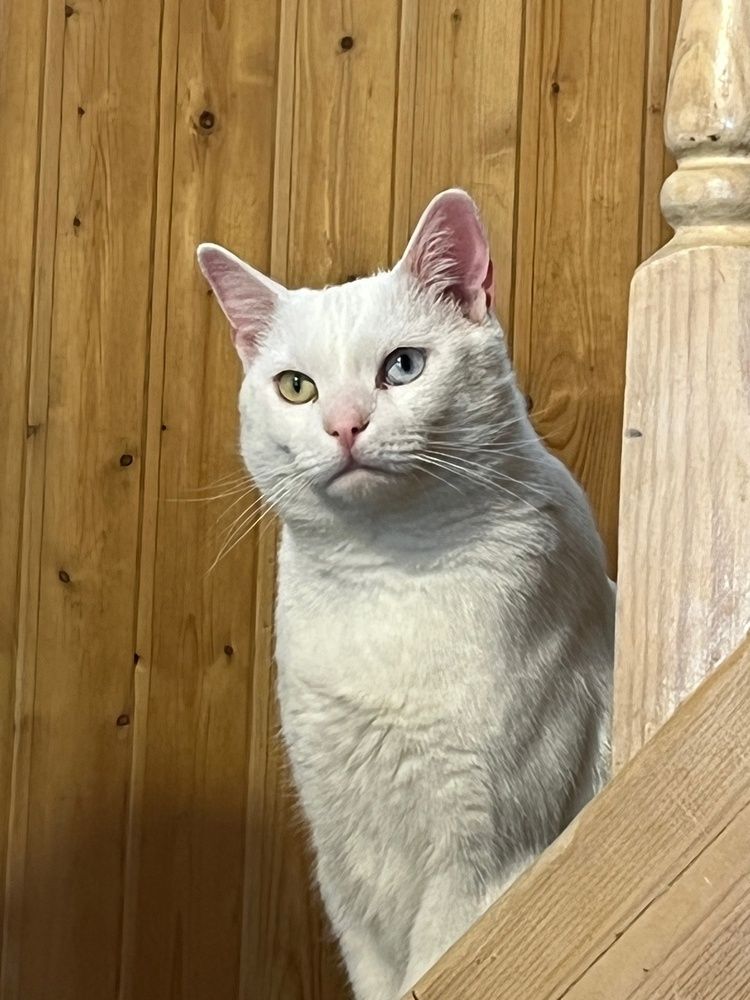 Photograph by Болдырева Ольга