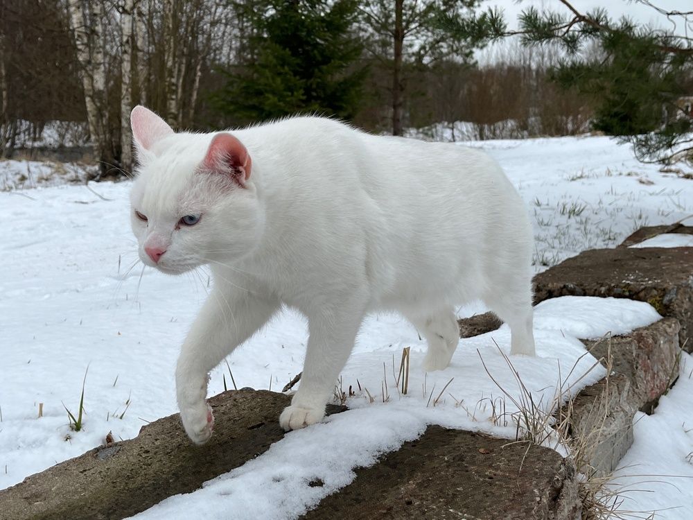 Photograph by Болдырева Ольга