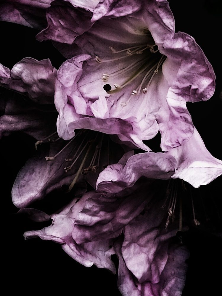 Photograph by Людмила М