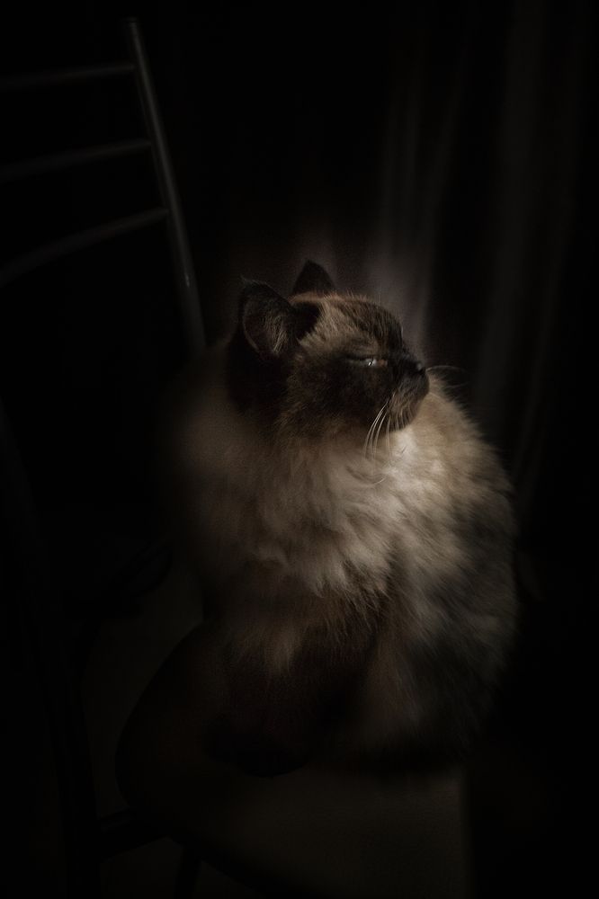 Photograph by Юлия Гетманская