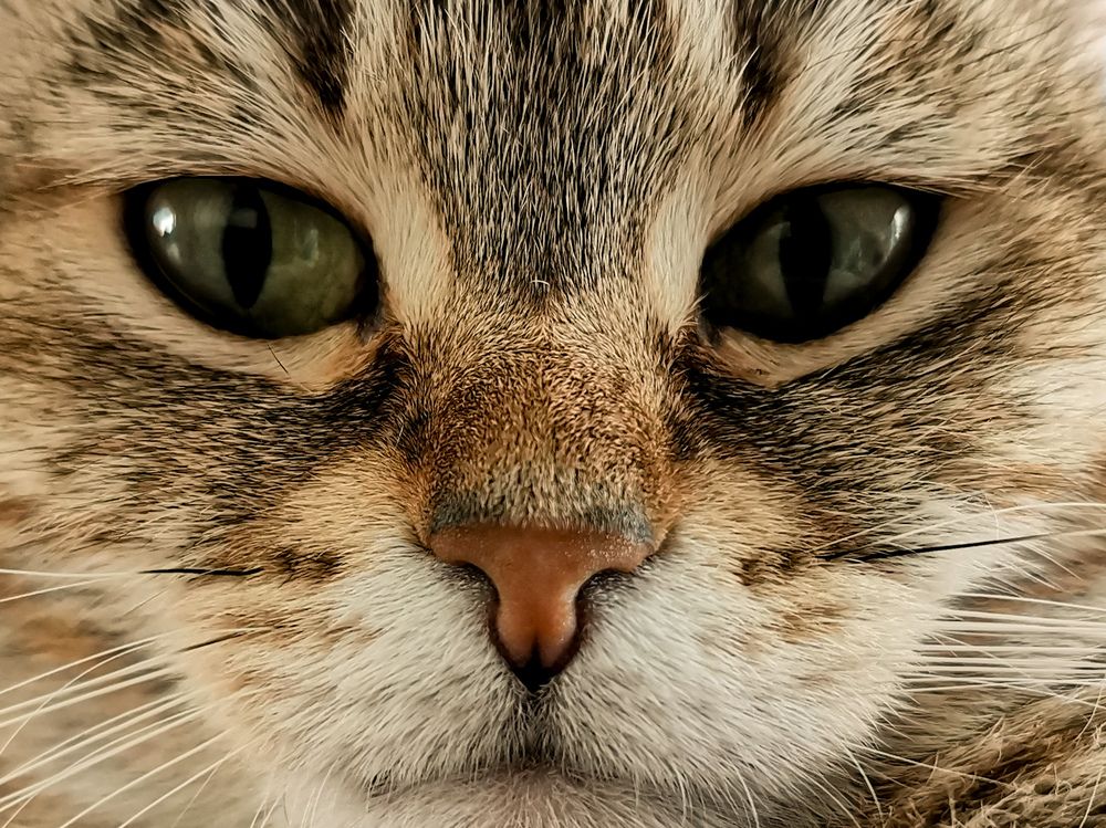 Photograph by Oxana Kostsova