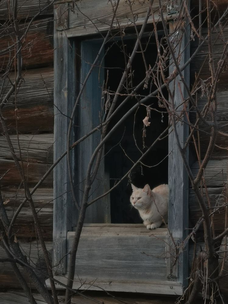 Photograph by Oxana Kostsova