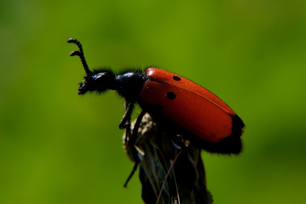 Photograph by Яна Истоцкая