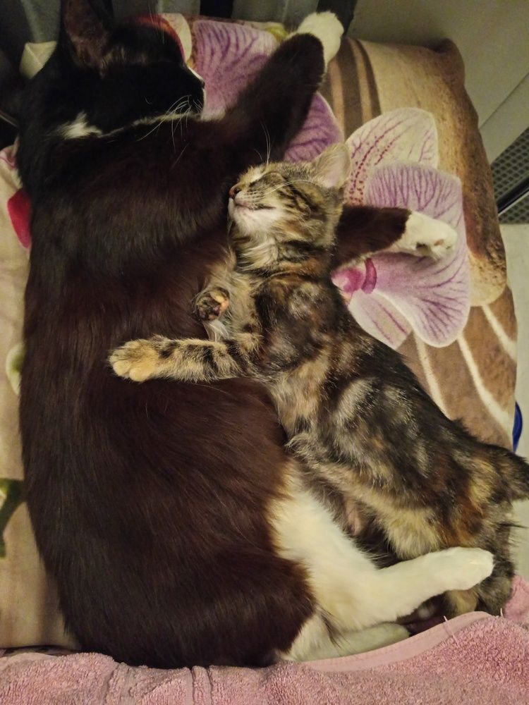 Photograph by Юлия Локалова