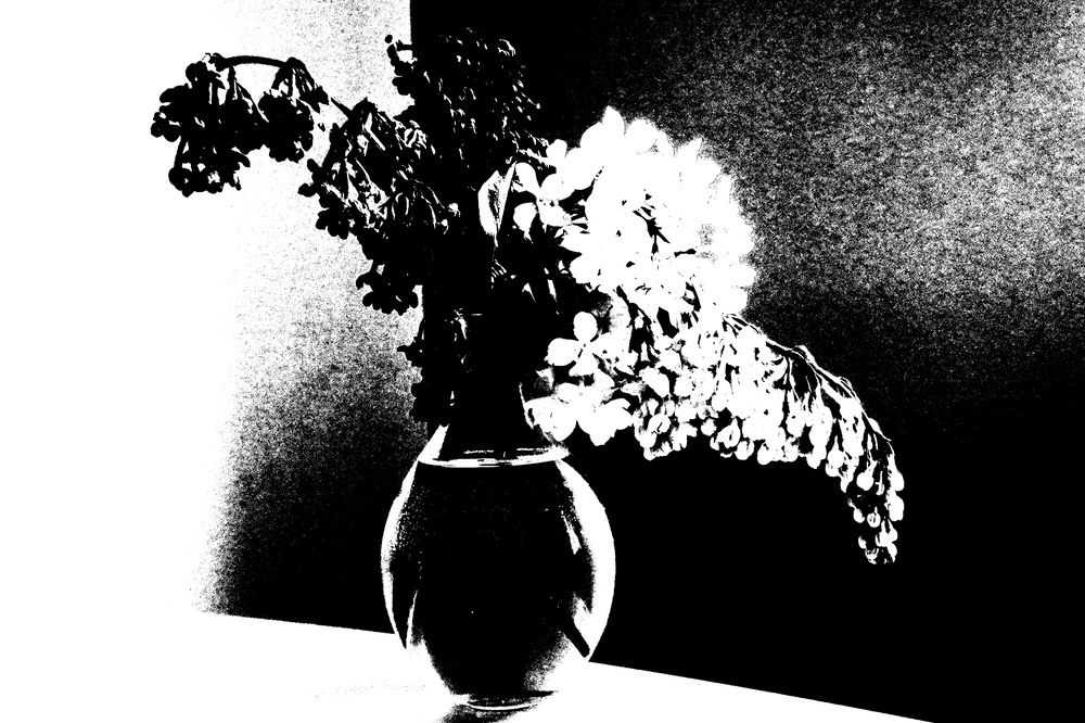 Photograph by Лада Денисова