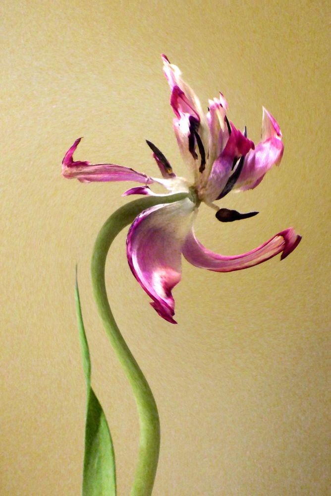 Photograph by Лада Денисова